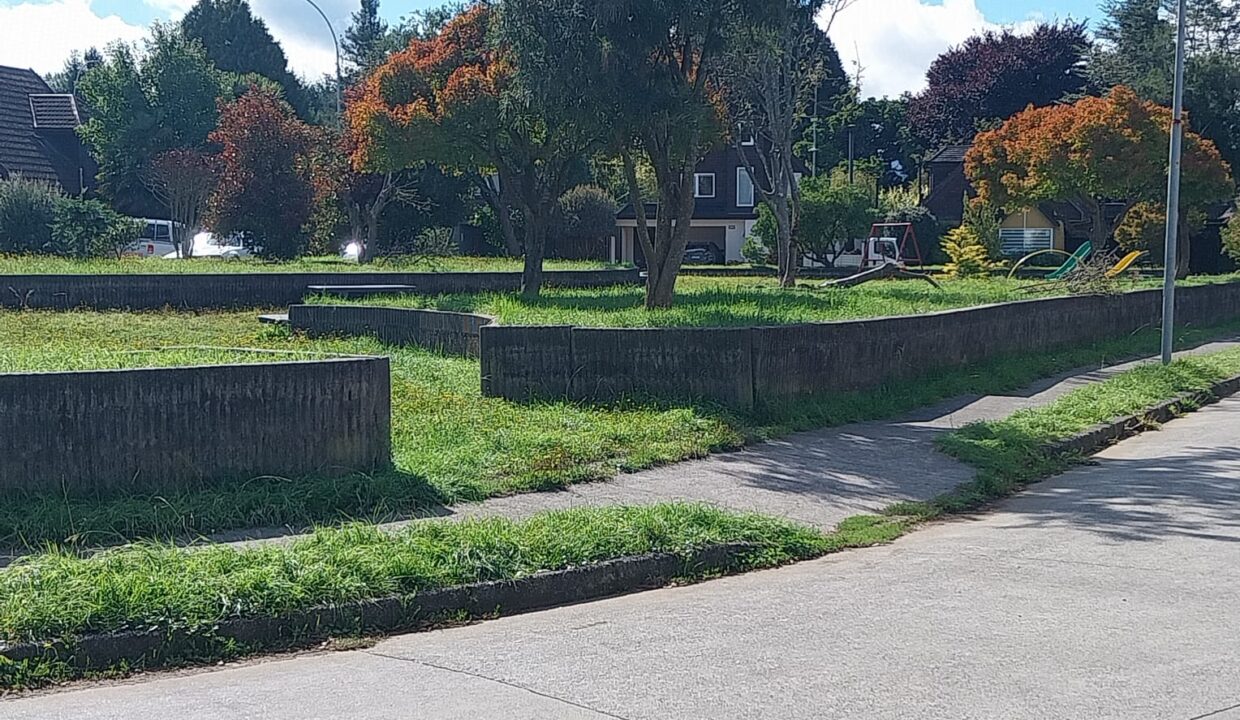 WhatsApp Image 2026-03-29 at 09.38.25 (1)