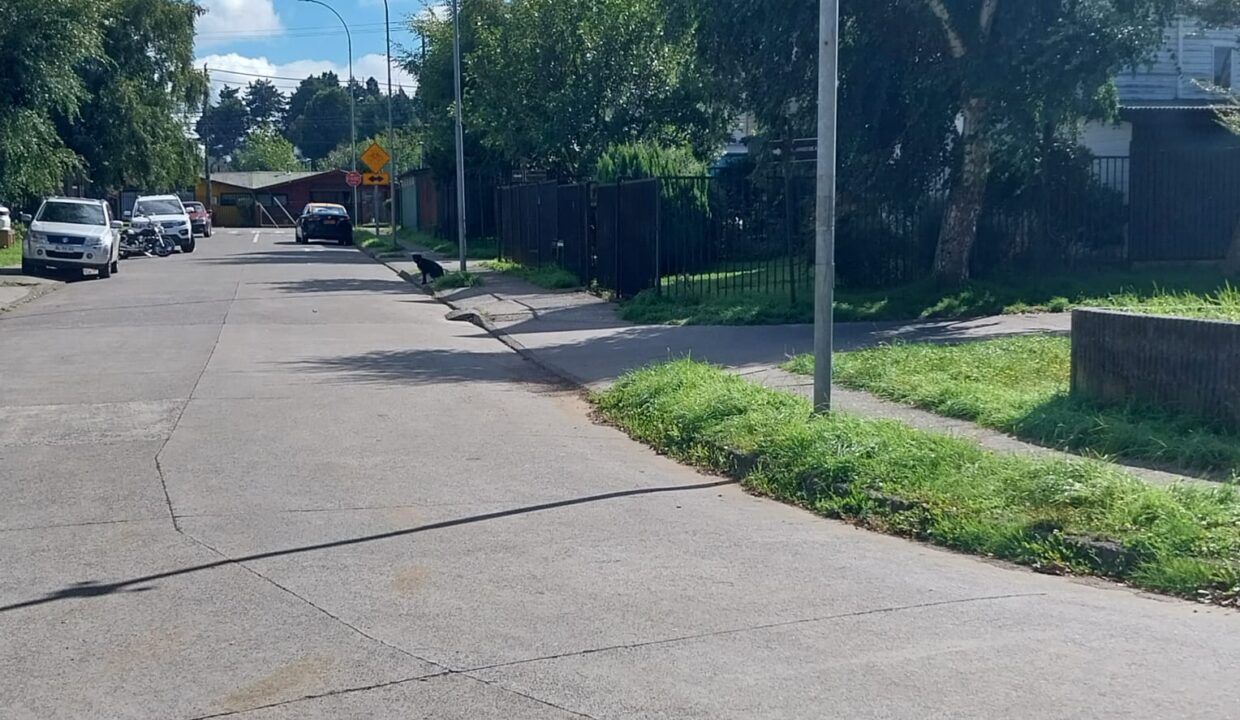 WhatsApp Image 2026-03-29 at 09.38.25