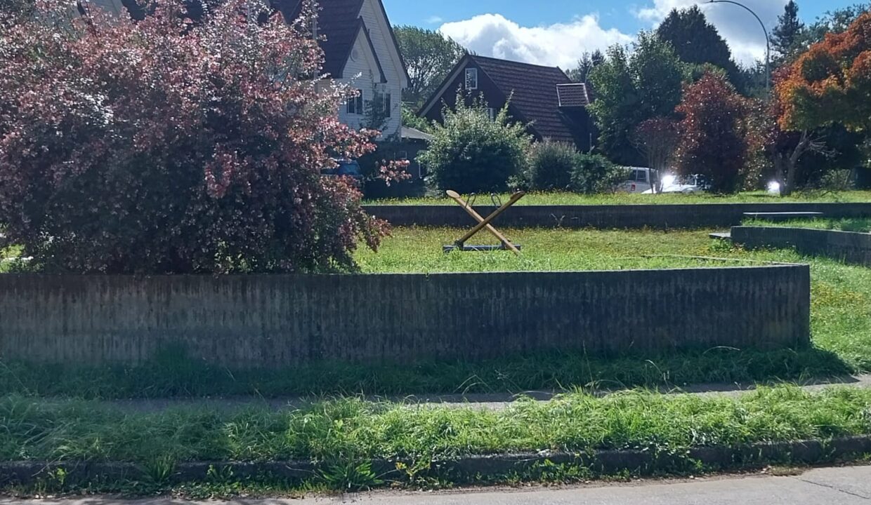 WhatsApp Image 2026-03-29 at 09.38.25 (2)