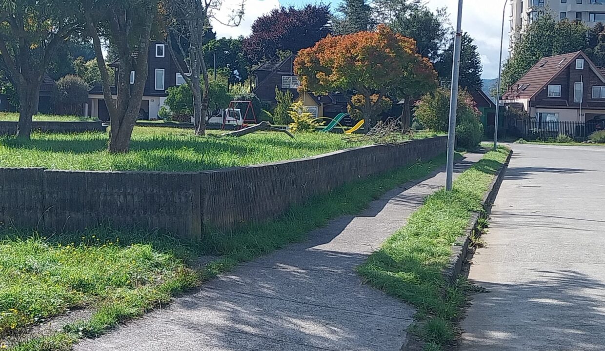 WhatsApp Image 2026-03-29 at 09.38.26